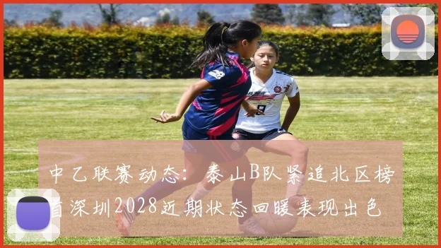 中乙联赛动态：泰山B队紧追北区榜首深圳2028近期状态回暖表现出色
