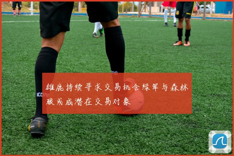 雄鹿持续寻求交易机会绿军与森林狼或成潜在交易对象