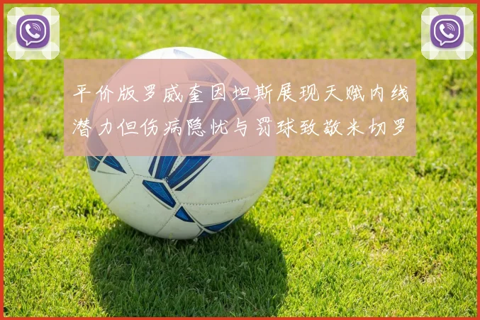 平价版罗威奎因坦斯展现天赋内线潜力但伤病隐忧与罚球致敬米切罗