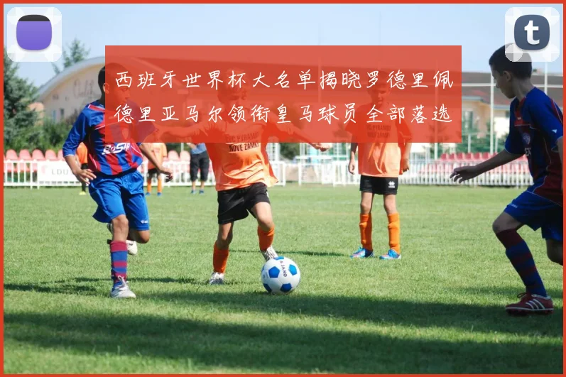 西班牙世界杯大名单揭晓罗德里佩德里亚马尔领衔皇马球员全部落选